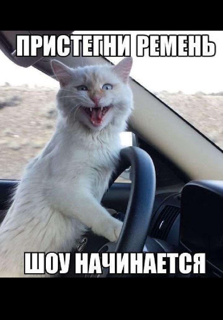 он йдчйнйітпп