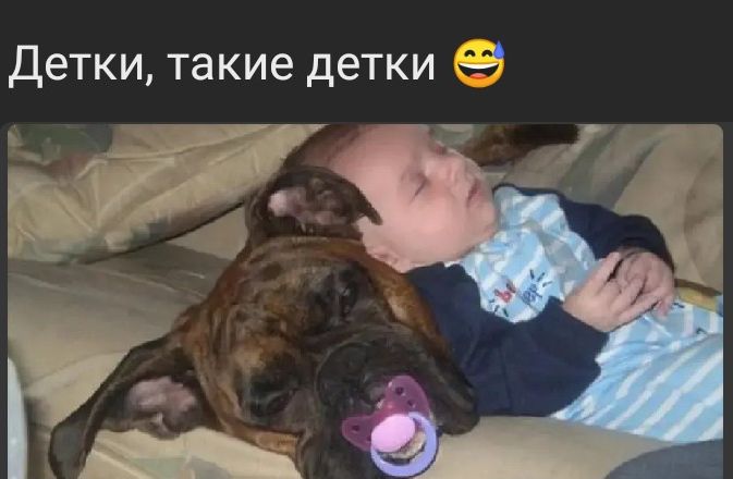 Детки такие детки
