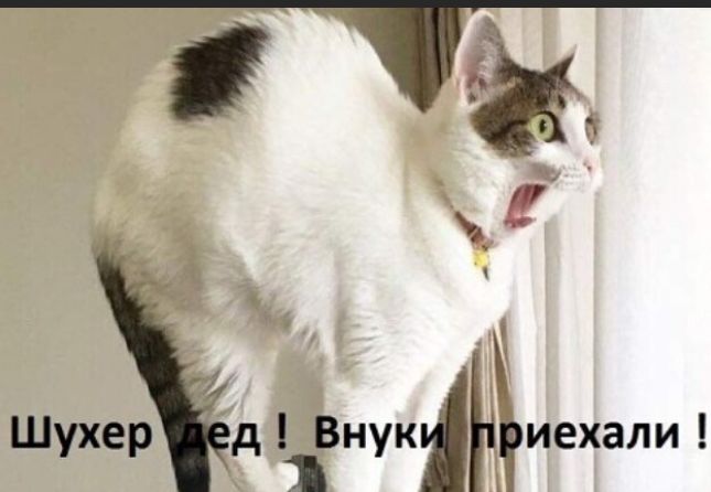 8 __г д Ви кімиехали у