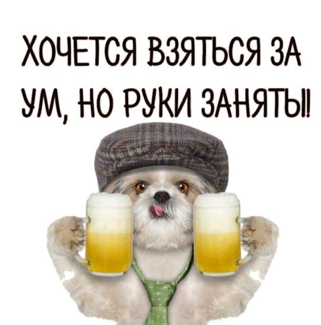 ХОЧЕТСЯ ВЗЯТЬСЯ ЗА УМ НО РУКИ ЗАНЯТЬП