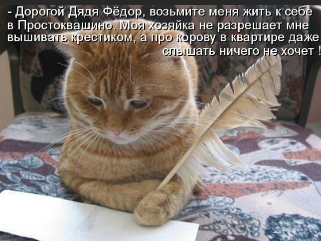дорогой дядя Фёдо возьмите меня жигь к себ а не разрешает мне иком п и ову в квартире даже ать ничего зхочет Простоква