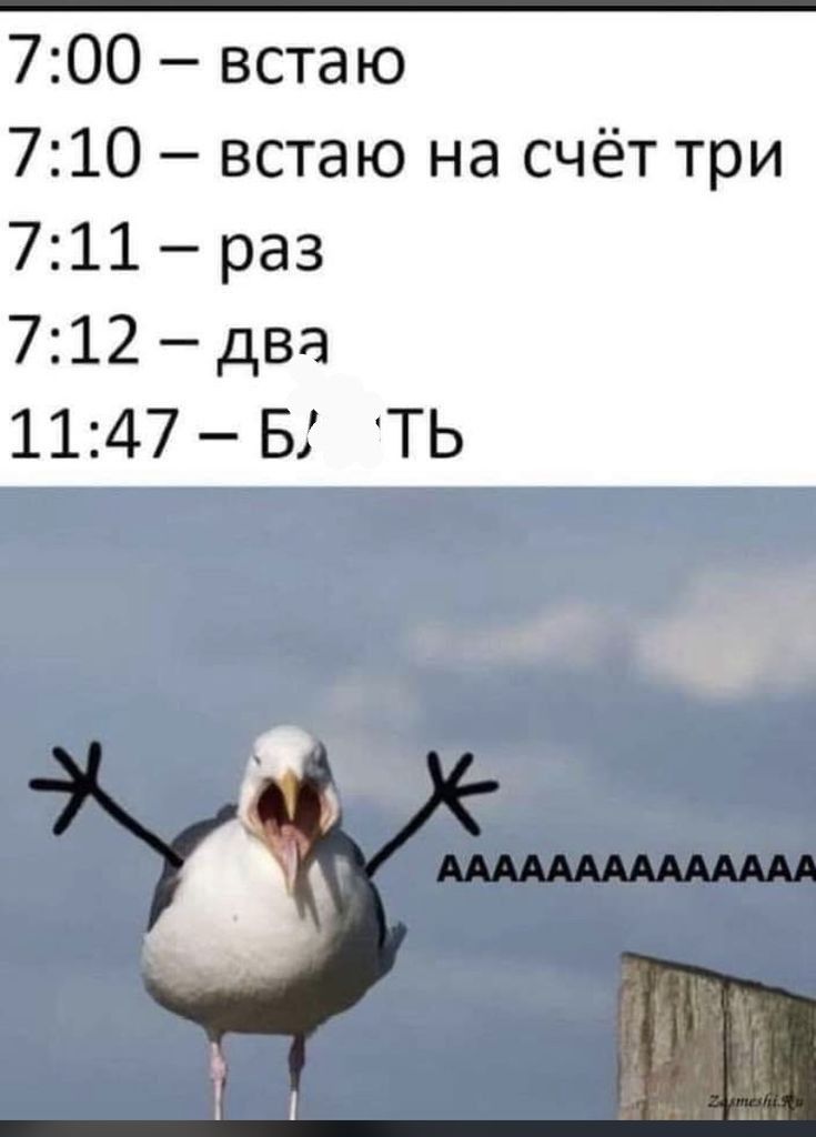 700 встаю 710 встаю на счёт три 711 раз 712 два 1147 Б ТЬ