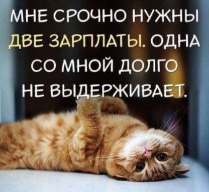 НЕ СРОЧНО НУЖНЫ ВЕ ЗАРПЛАТЫ ОДНА СО МНОЙ ДОЛГО НЕ ВЫЁЕРЖИВАЕТ 3293