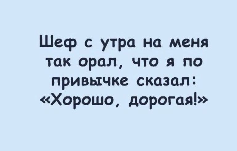 Шеф с утра на меня так орал что я по привычке сказал Хорошо дорогая