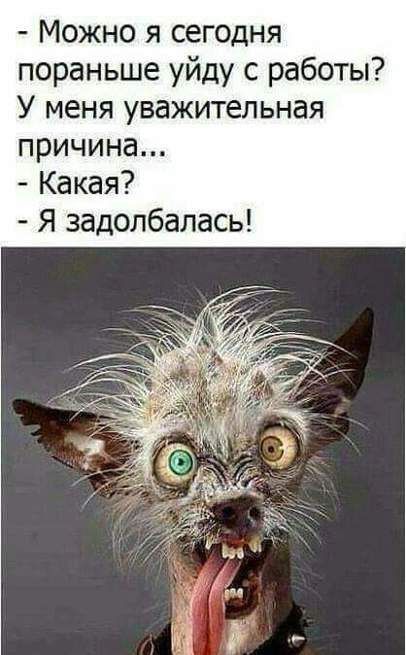 Можно я сегодня пораньше уйду с работы У меня уважительная причина Какая Я задолбалась
