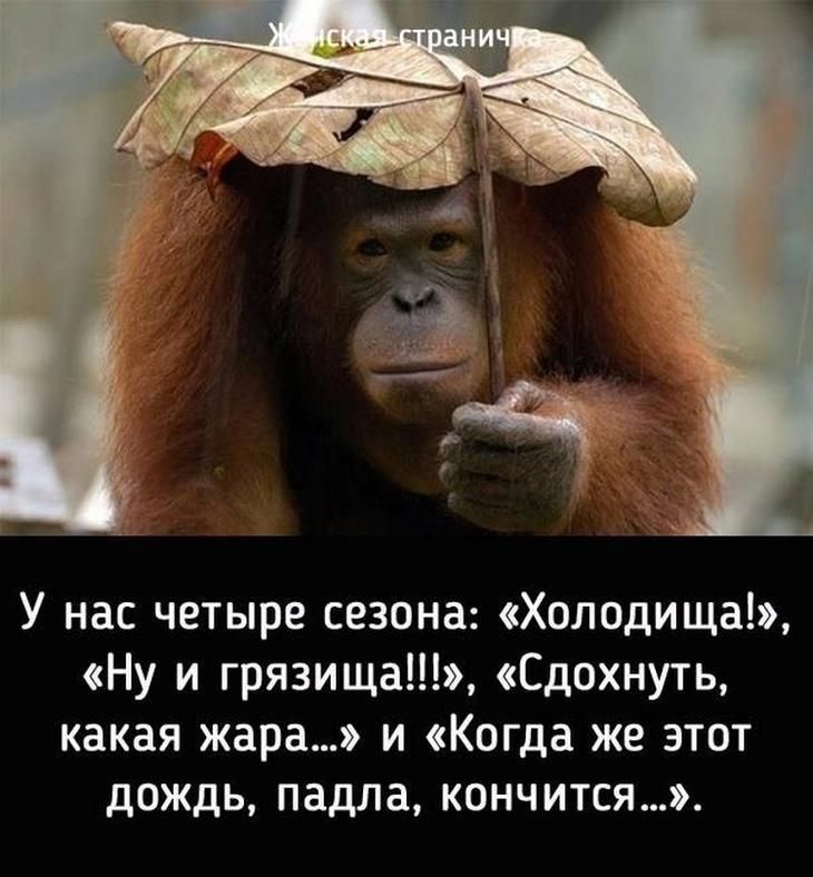 У нас четыре сезона Холодища Ну и грязища Сдохнуть какая жара и Квгда же этот дождь падла кончится
