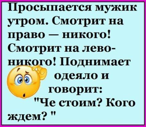 Просыпается мужик утром Смотрит на право никого Смотрит на лево н о Поднимает одеяло и ГОВОРИТ Че стоим Кого ждем