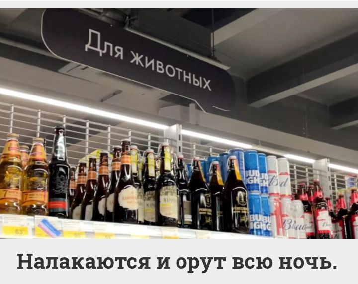 Напакаются И орут ВСЮ НОЧЬ