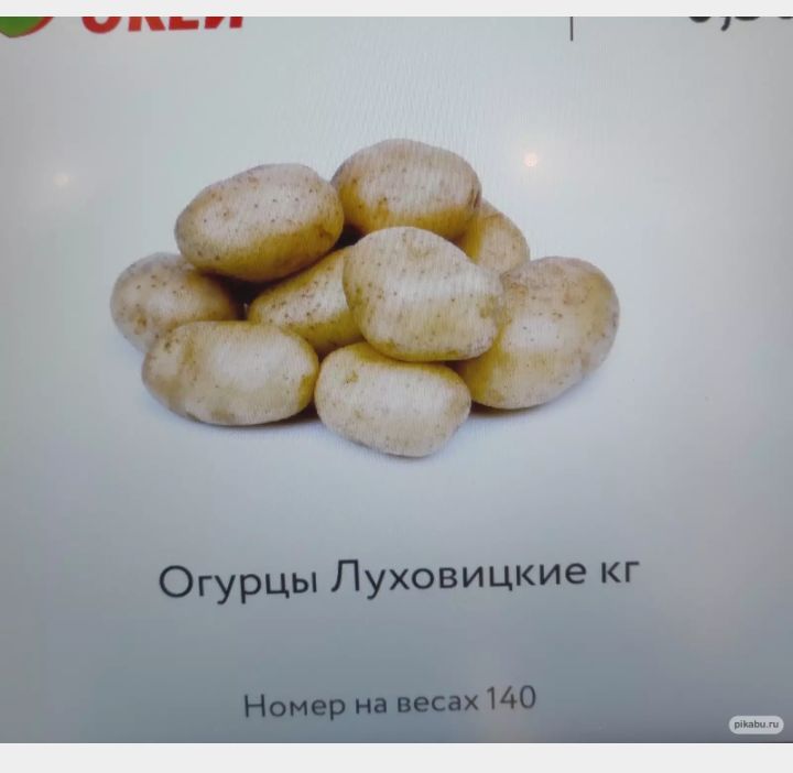 __ Огурцы Пуховицкие кг