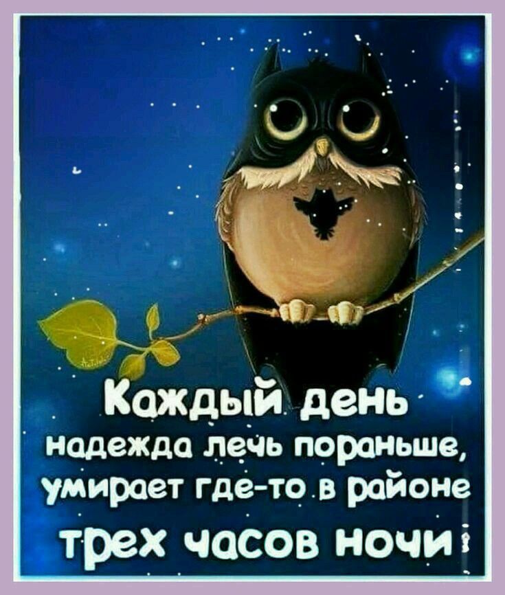 6 надежда лечь пораньше умирает где то в районе трех часов НОЧИ Каждый день