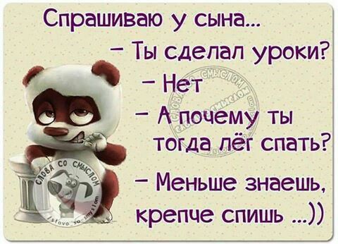 Спрашиваю у сына Ты сдепап уроки Нет _ Апоцемуты тогда пёг спать Меньше знаешь крепче спишь