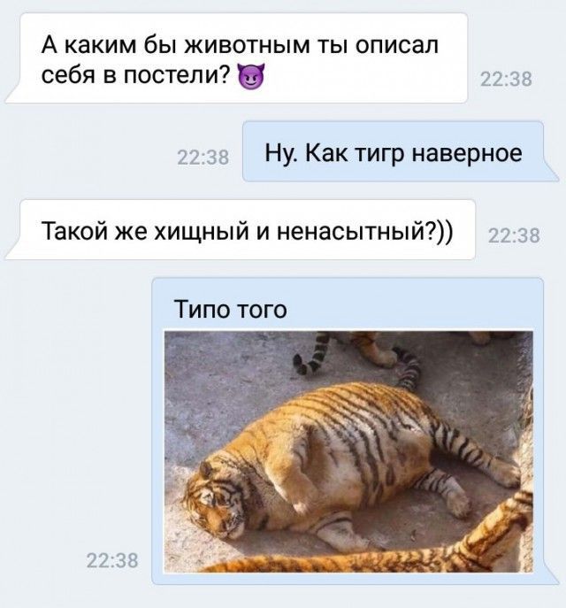 А каким бы животным ты описал себя в постели Ну Как тигр наверное Такой же хищный и ненасытный Типо того