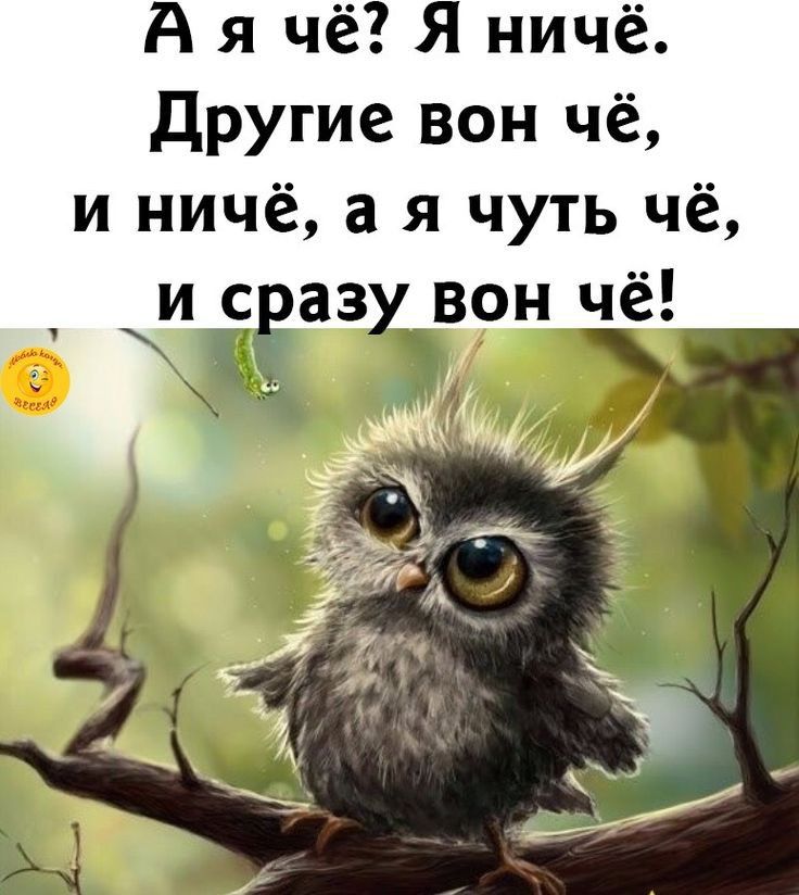 другие вон чё и ничё а я чуть чё и с аз вон чё