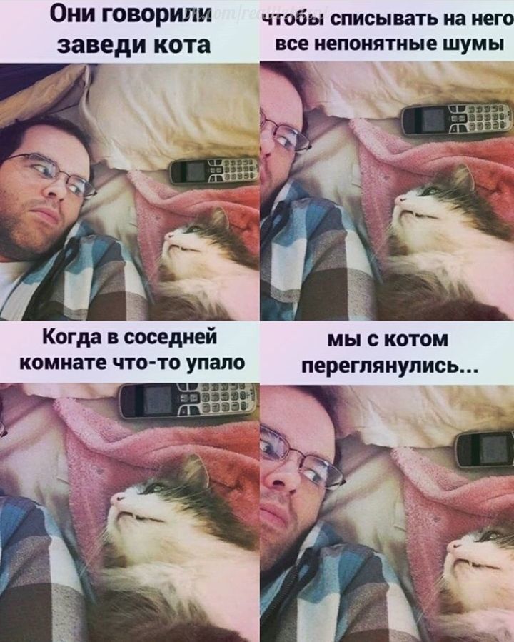 Они творили чтобы списы дать на него заведи Кота все непонятные шумы Когда в соседней мы с котом комнате что то упало переглянулись