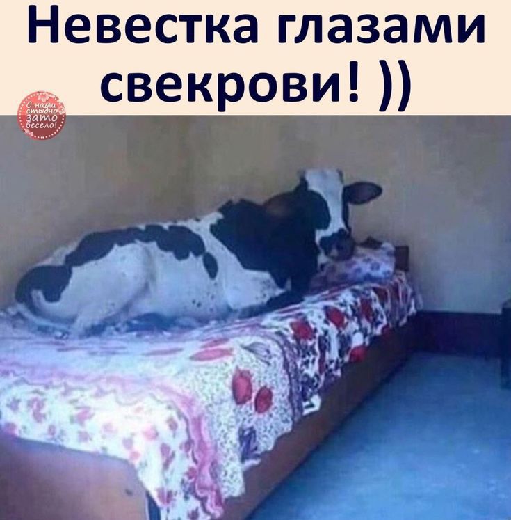 Невестка глазами свекрови