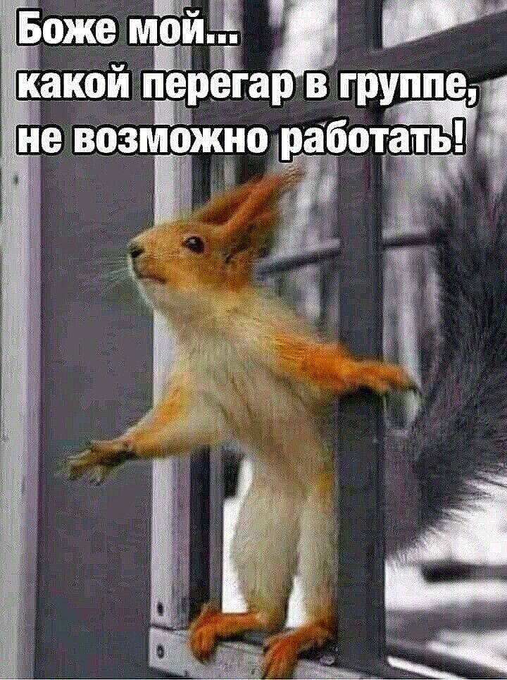 Боже мёйё какой пер_егар в группе не возможногіботгч