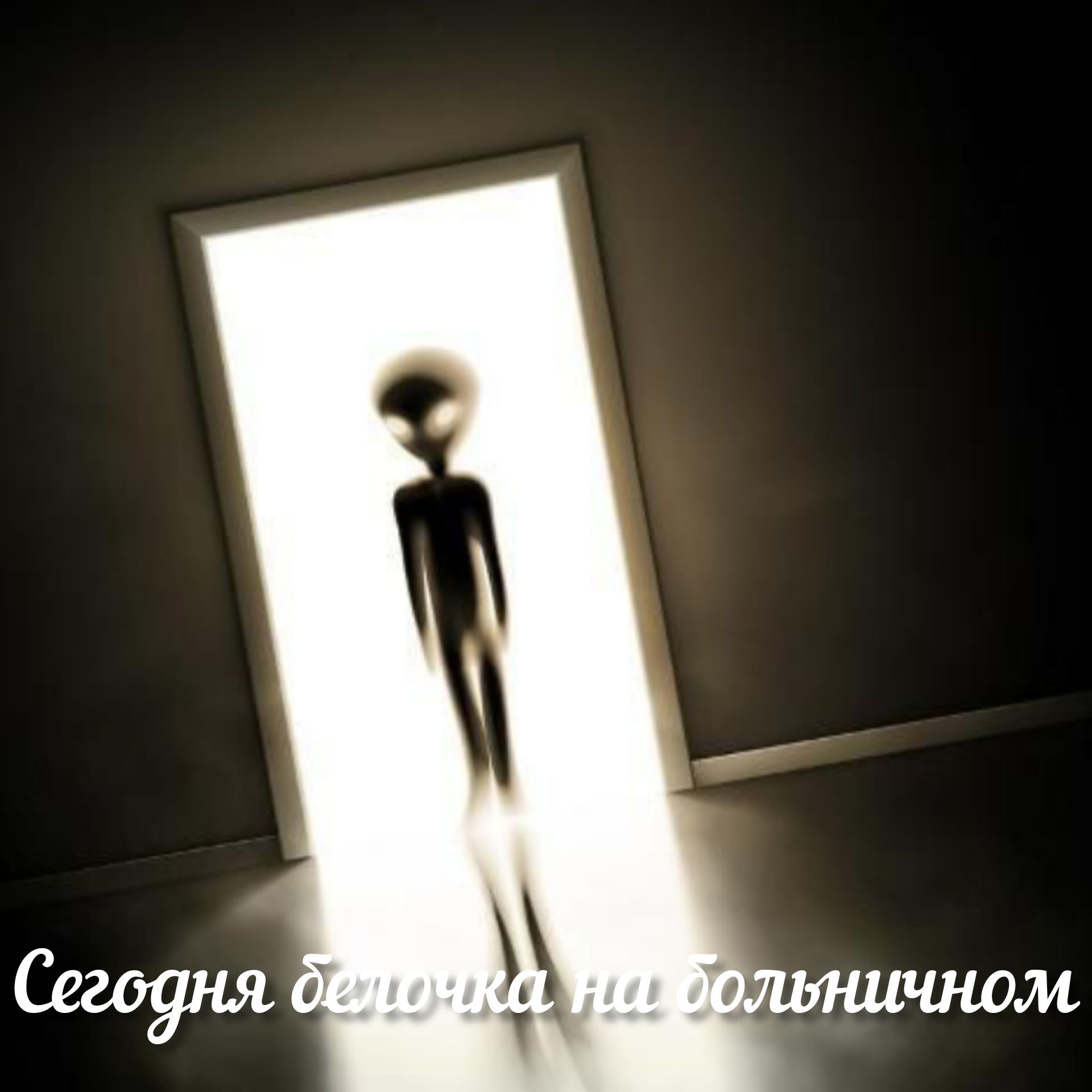 ШМ