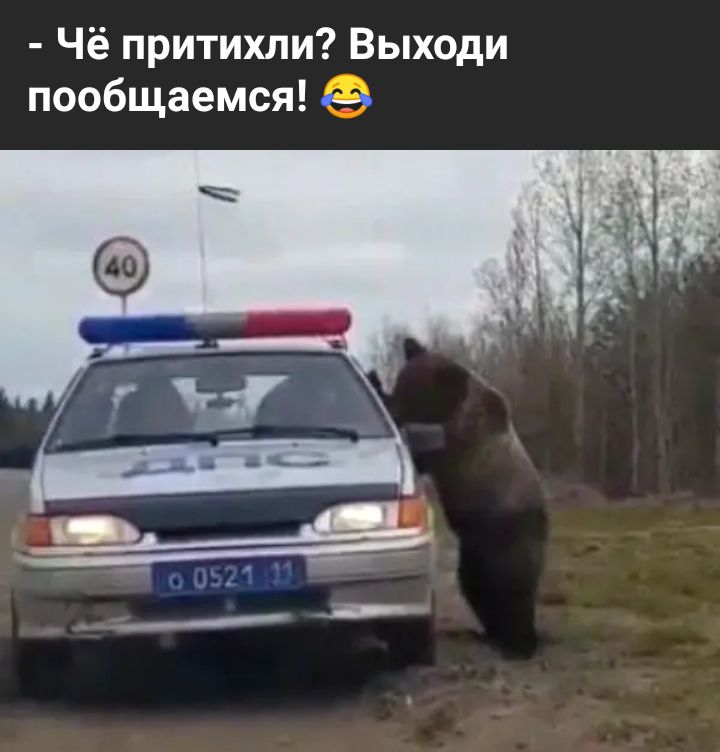 Чё притихли Выходи пообщаемся