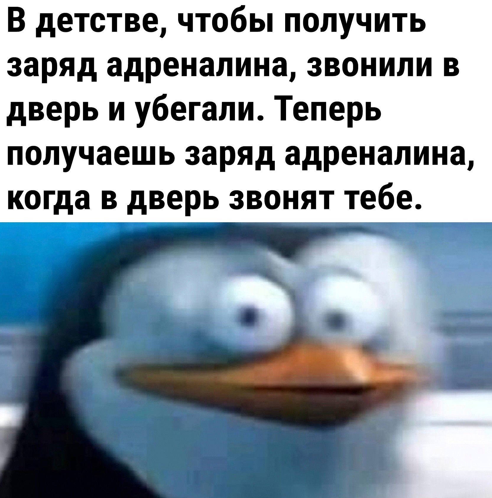 В детстве чтобы получить заряд адреналина звонили в дверь и убегали Теперь получаешь заряд адреналина когда в дверь звонят тебе