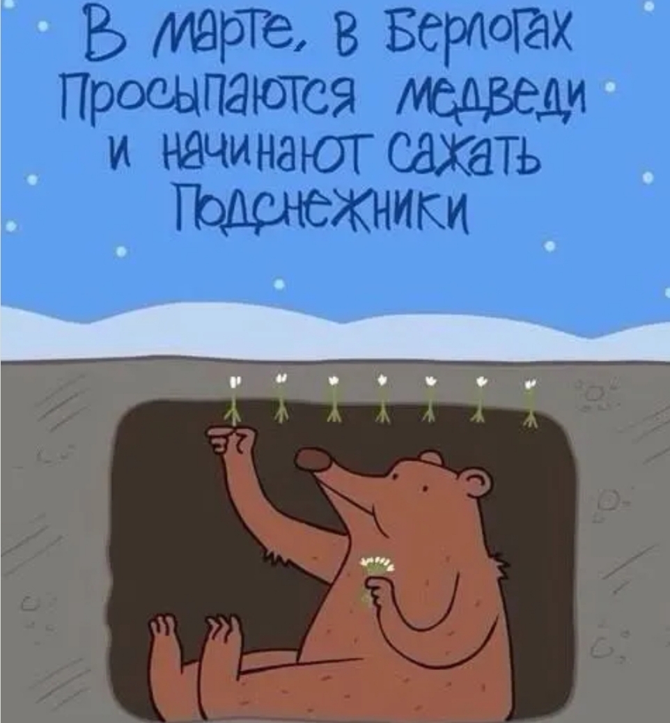 Б 8 Берюгах ПРОШПЭЮТСЯ 1 и начинают сжать КНИКИ