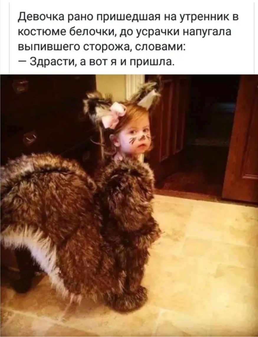 Девочка рано пришедшая на утренник в костюме белочки до усрачки напугала выпившего сторожа словами Здрасти а вот я и пришла