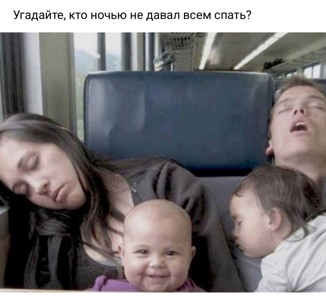 Угадайте кто ночью не давал всем спать