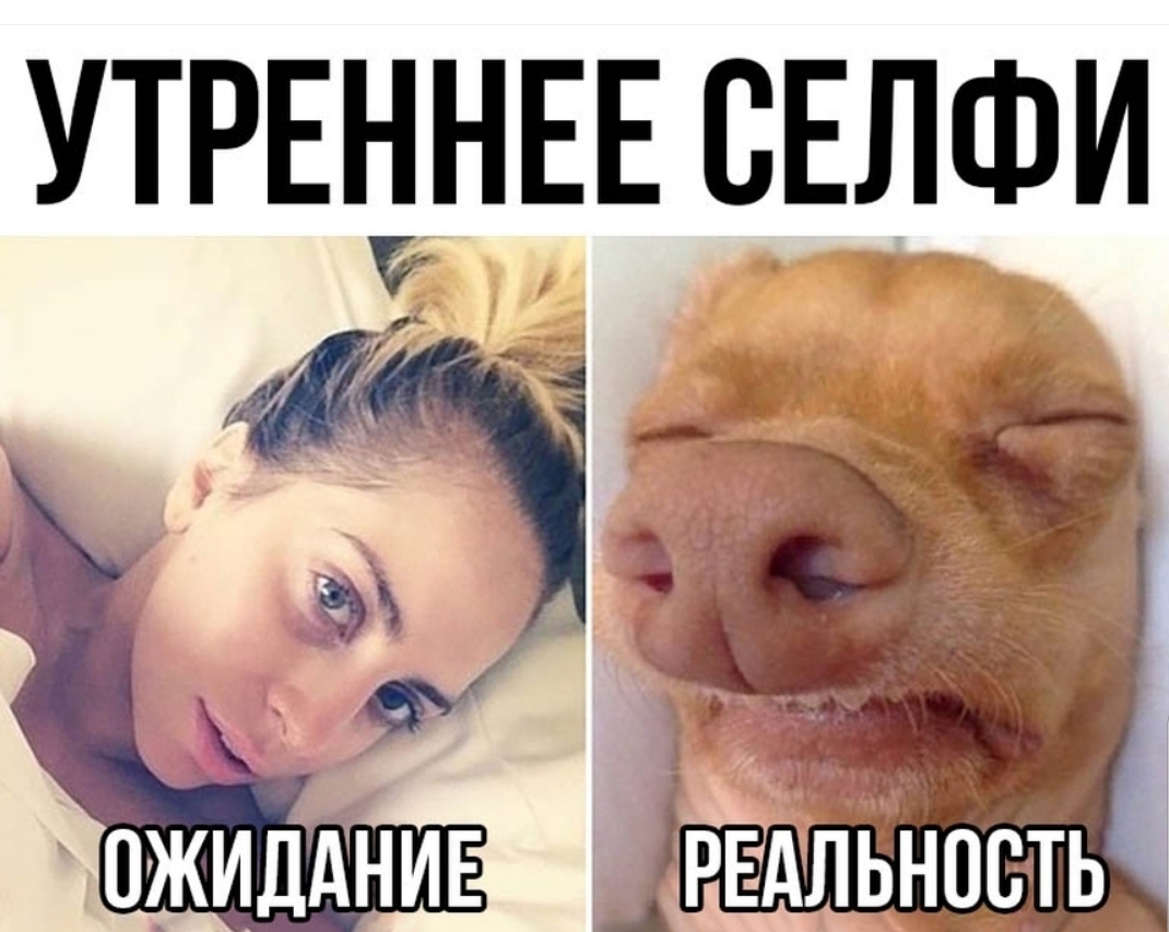 УТРЕііНЕЕ СЕЛФИ
