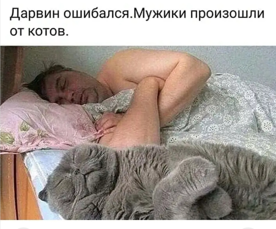 Хозяин рано