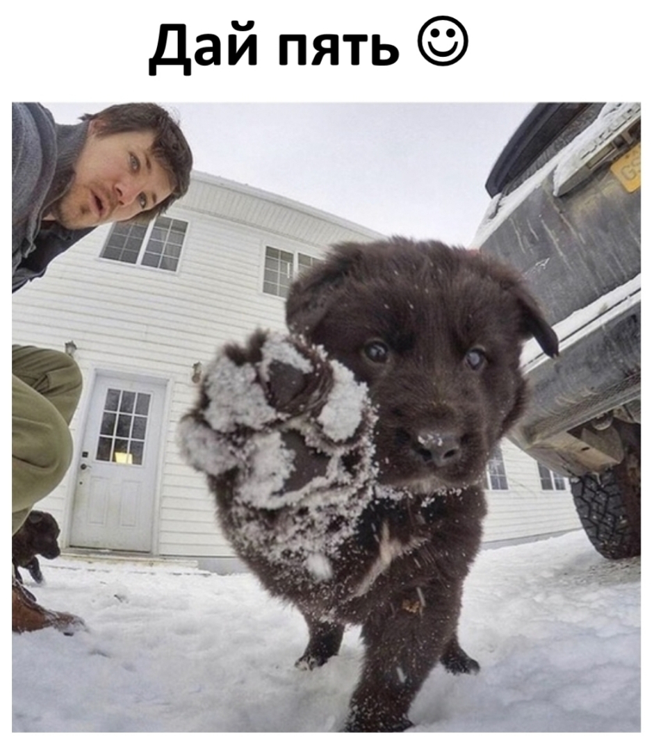 Дай пять