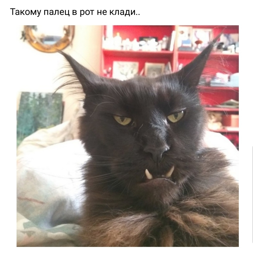 ТЗКОМУ палец В рот не клади Щ
