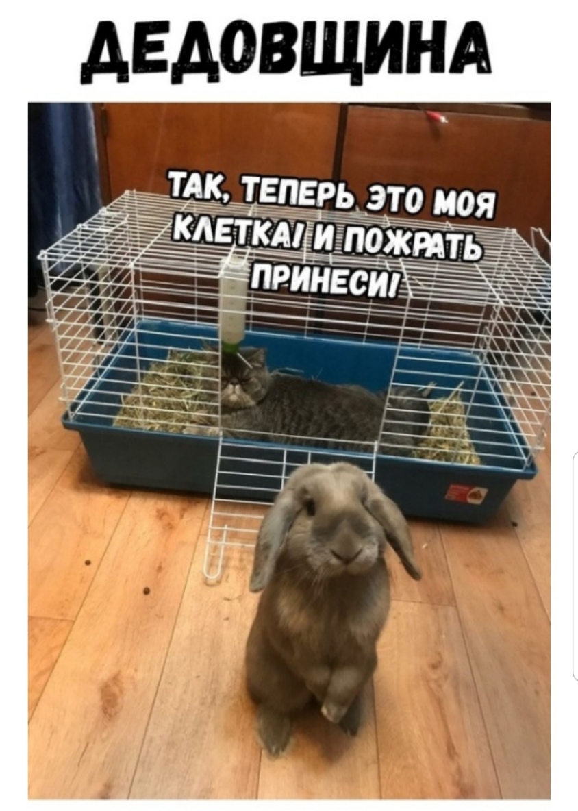 АЕАОВЩИНА