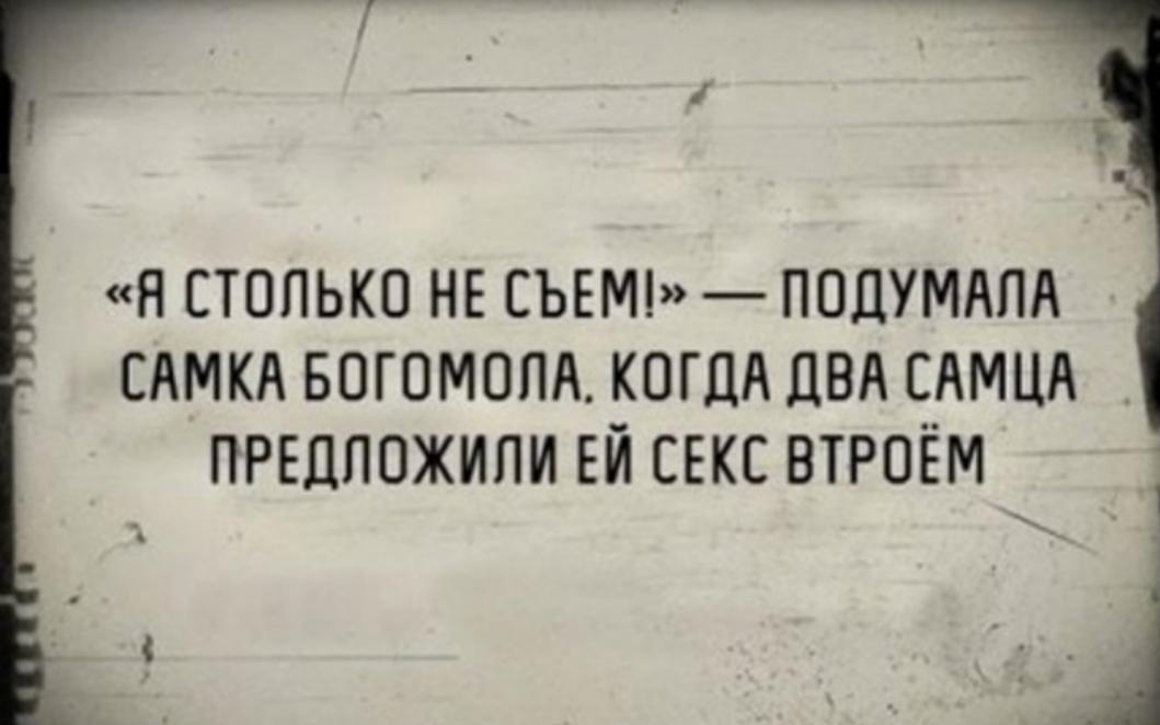 Предлагаю подумать. Я столько не съем. Я столько не съем подумала самка богомола. Чем проще тем лучше. Я столько не съем подумала самка.