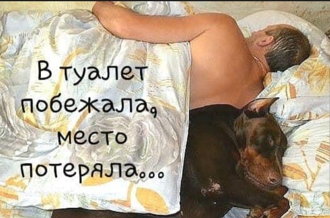 _ Втуалет побежала место Потеряла