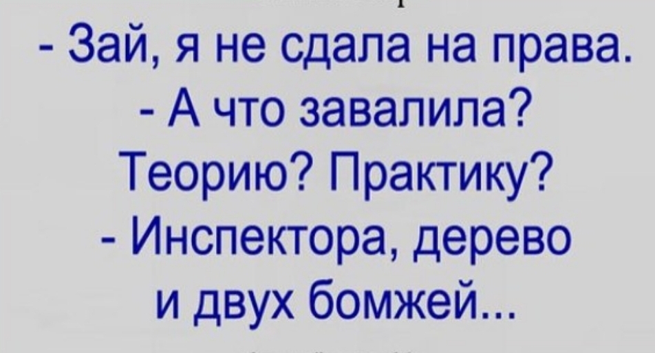 Зай я не сдала на права А что завалила Теорию Практику Инспектора дерево и двух бомжей