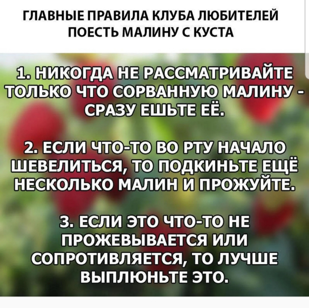 Съем правила. Три правила малины. Правила поедания малины прикол. Как есть малину прикол. Анекдоты про малину.