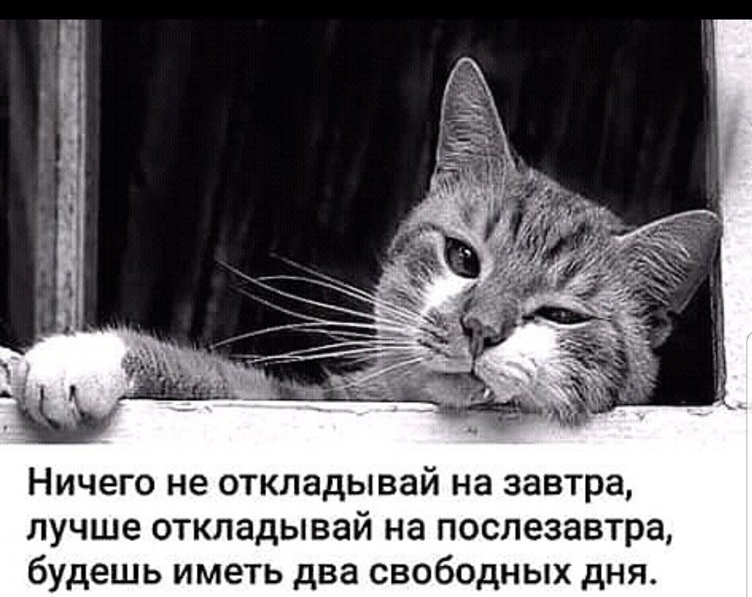 Ничего не откладывай на завтра лучше откладывай на послезавтра будешь иметь два свободных дня