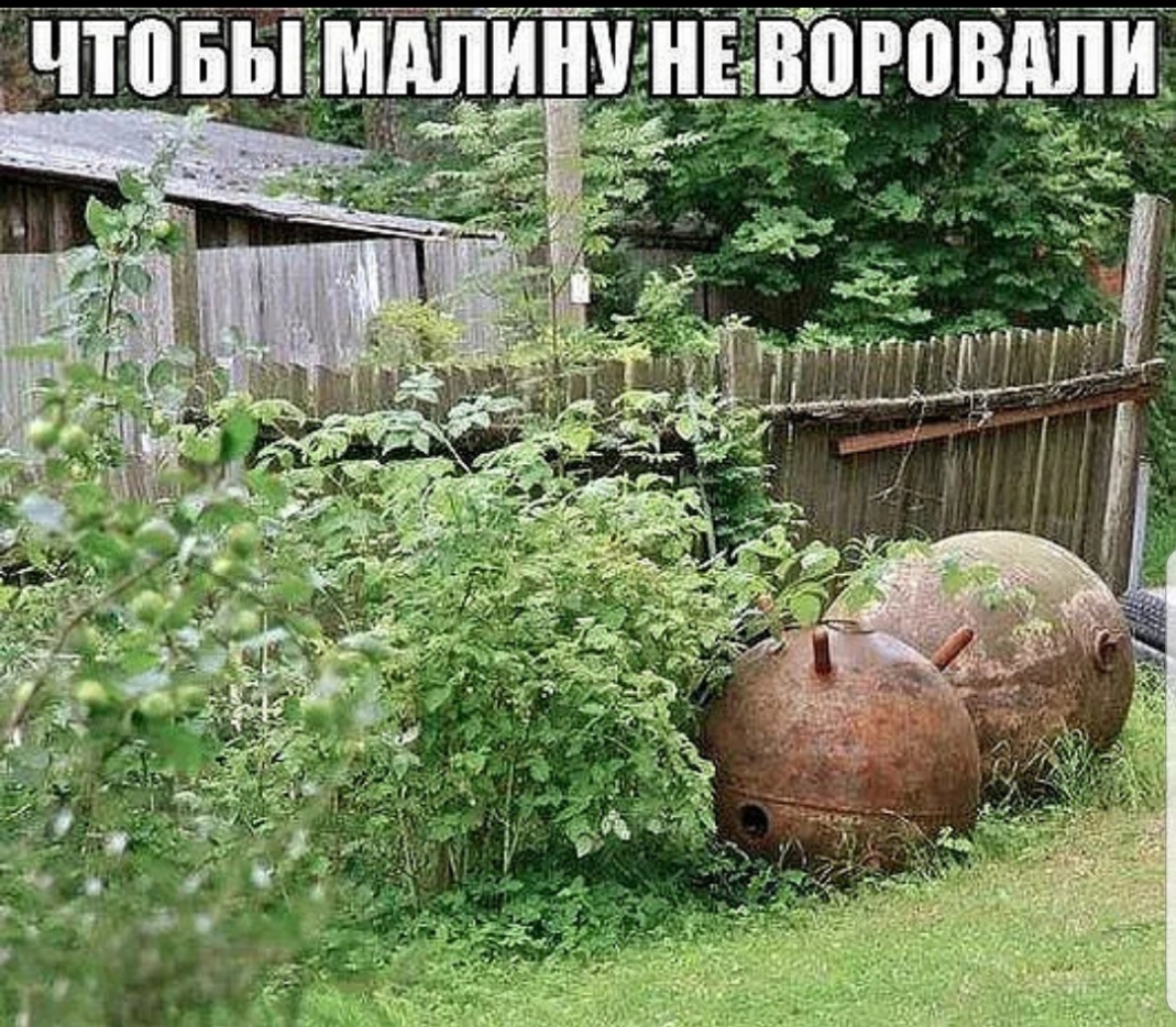 ТтТіБы милин _ ньвоговдпи