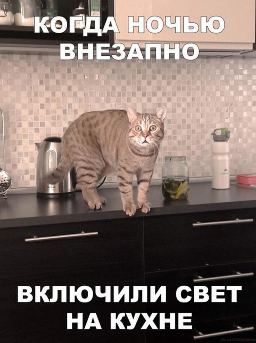 ВКПЮЧИПИ СВЕТ НА КУХНЕ