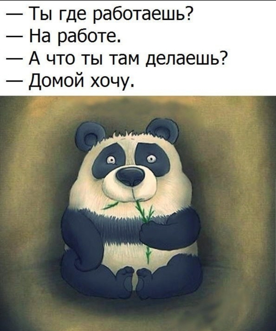 Хорошего дня Панда