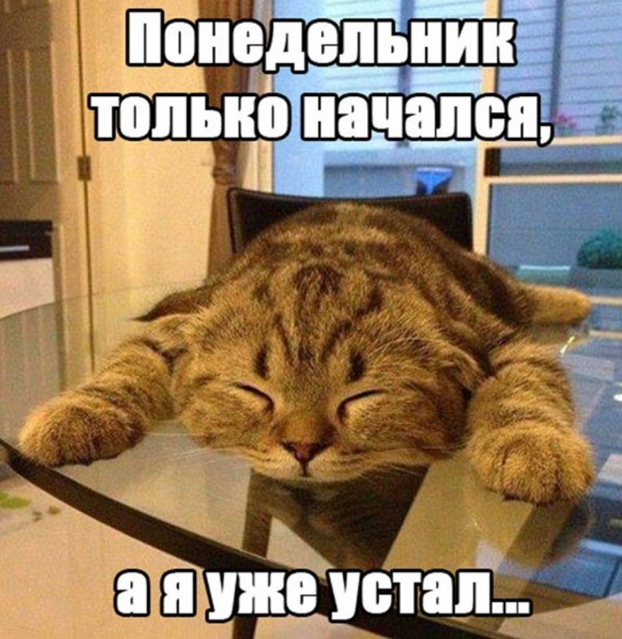 Щи ігдепьнТн