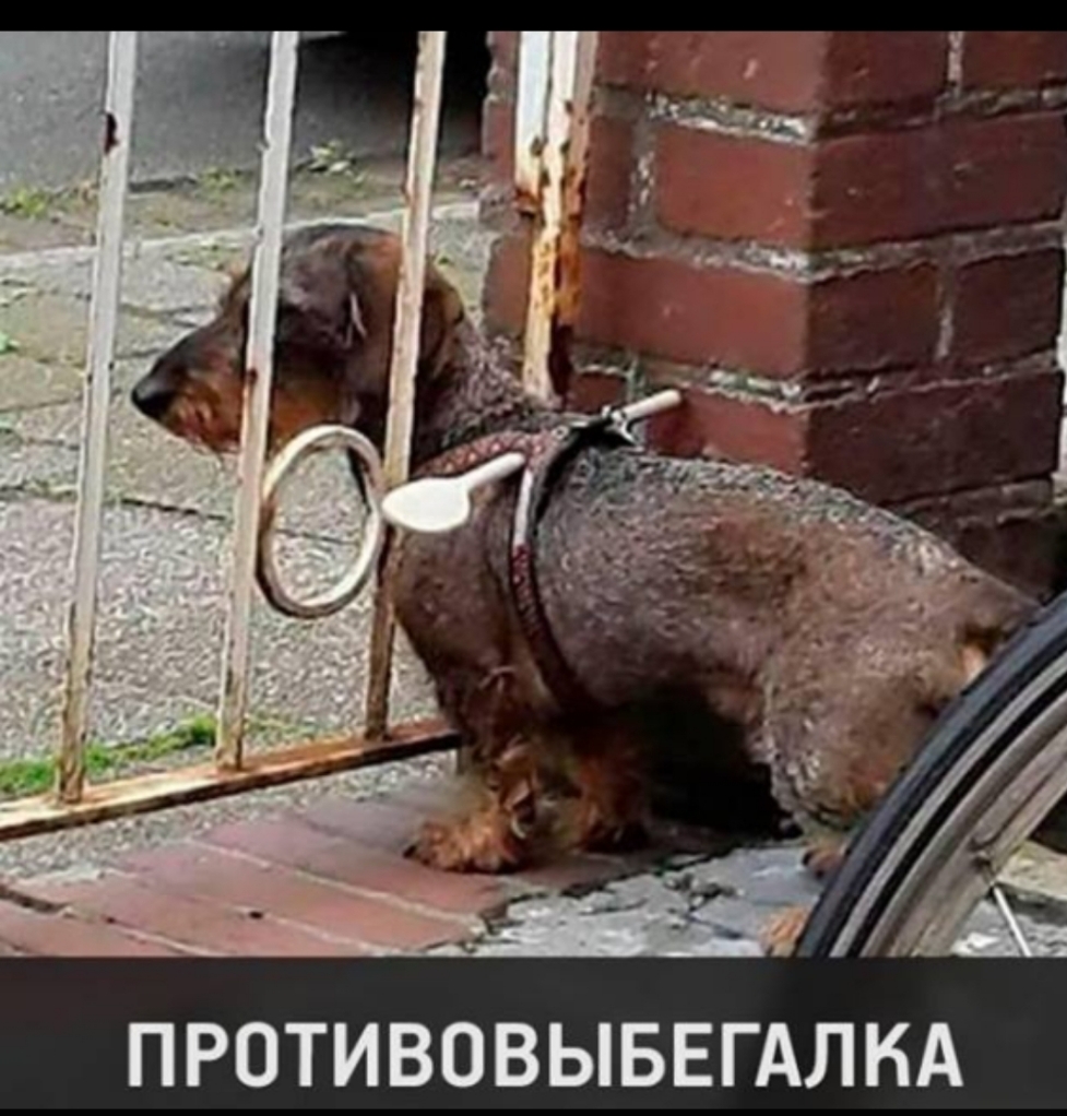 ПРОТИВОВЫБЕГАЛКА