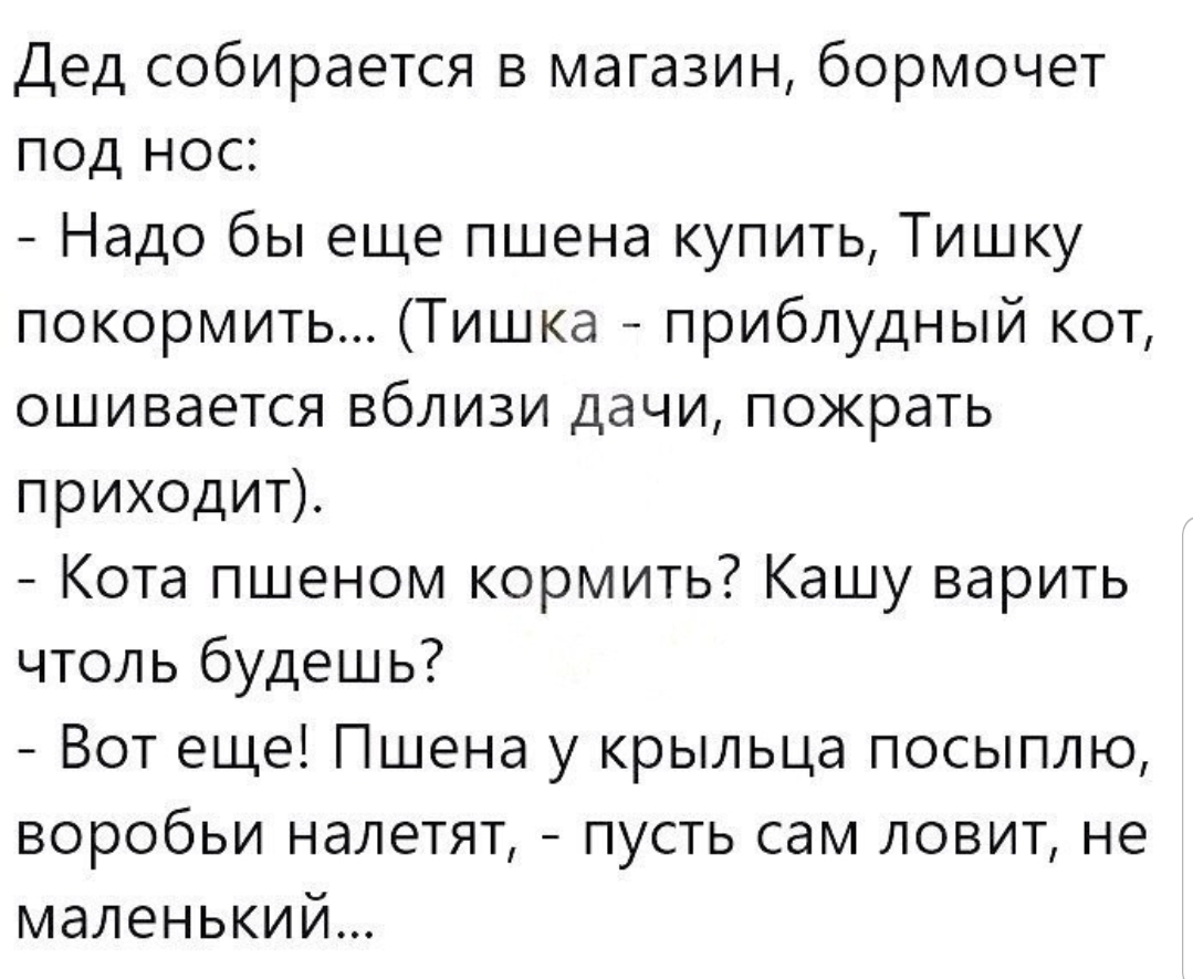 Дед собирается в магазин бормочет под нос Надо бы еще пшена купить Тишку покормить Тишка приблудный кот ошивается вблизи дачи пожрать приходит Кота пшеном кормить Кашу варить чтоль будешь Вот еще Пшена у крыльца посыплю воробьи налетят пусть сам ловит не маленький