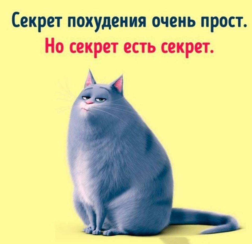Секрет похудения очень прост Но секрет есть секрет