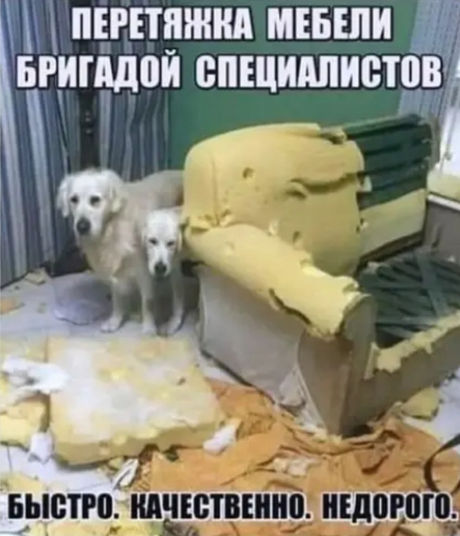 пттпннш швши вгигддой епшидпистов БЫСТРО пНАЧЕВТВЕШШ