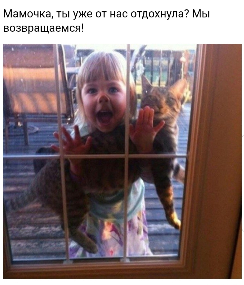 Мамочка ты уже от нас отдохнула Мы возвращаемся