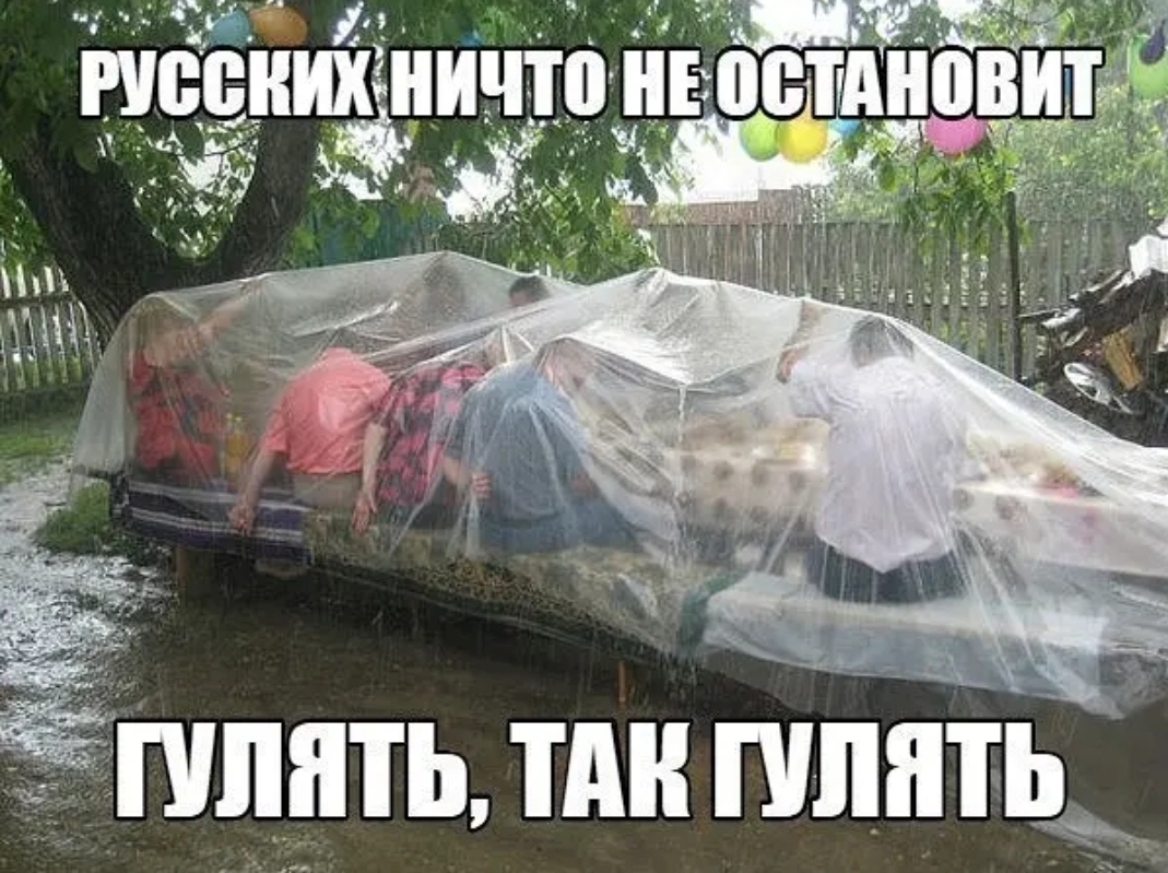 _ і травник нич Эд ПЛШЬ ПШ ПШПТЬ