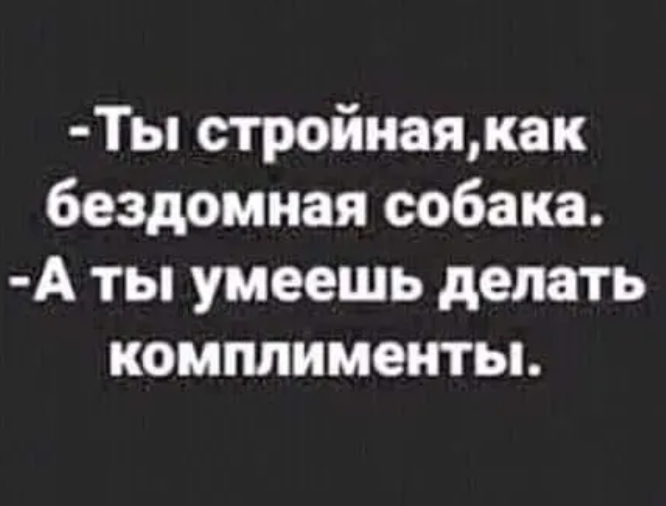 Ты стройнаякак бездомная собака А ты умеешь делать комплименты