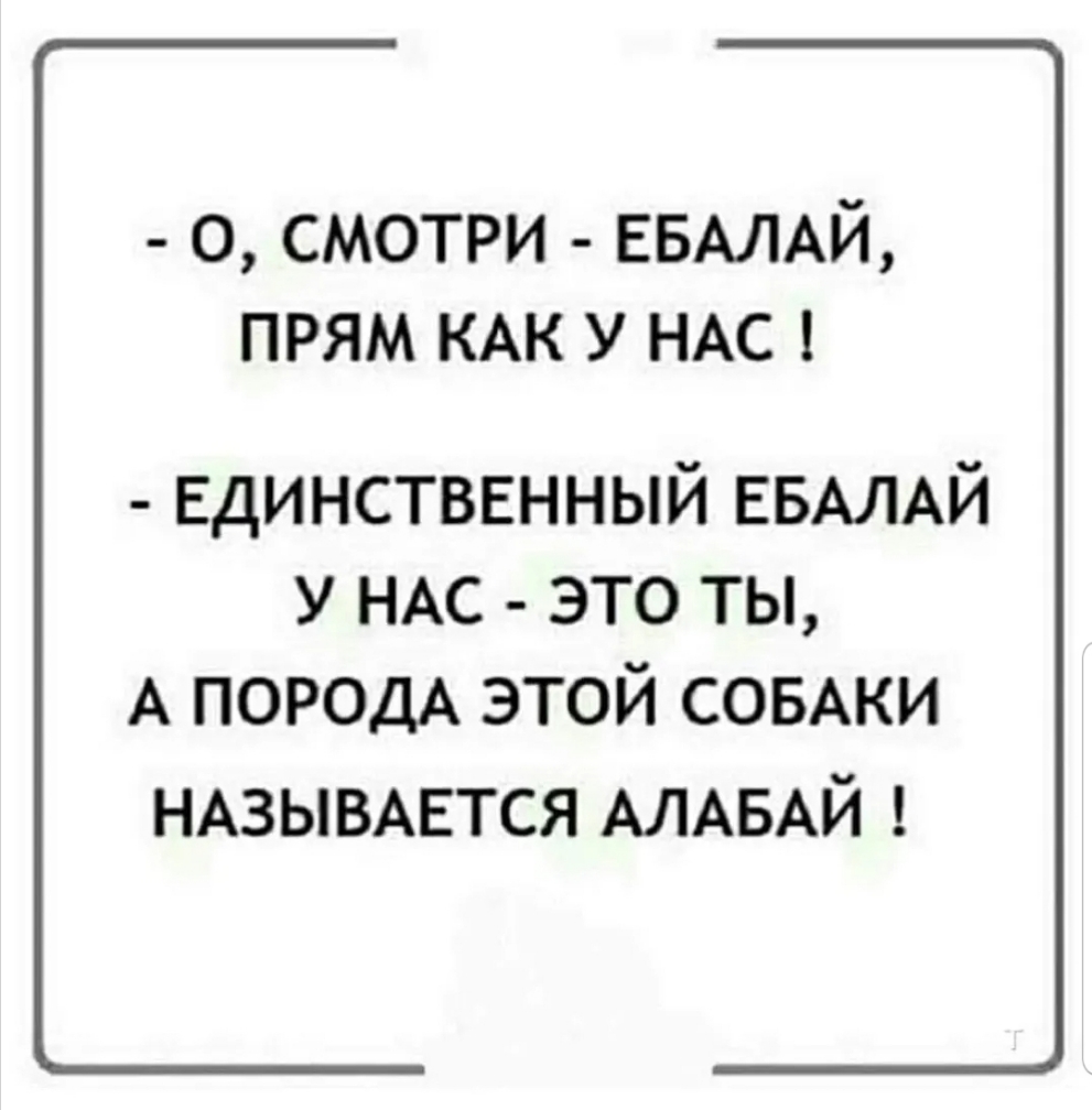 о смотри ЕБАЛАЙ прям КАК у НАС Единственный ЕБАЛАЙ у НАС это ты А ПОРОДА этой СОБАКИ НАЗЫВАЕТСЯ АЛАБАЙ