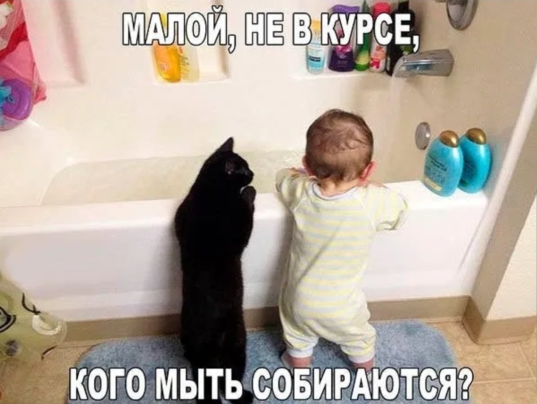 мдлай