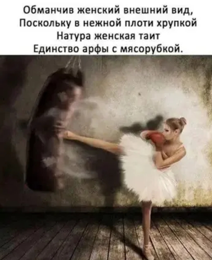 Обманчив женский внешний вид Поскольку в нежной плоти хрупкой Натура женская таит Единство арфы с мясорубкой